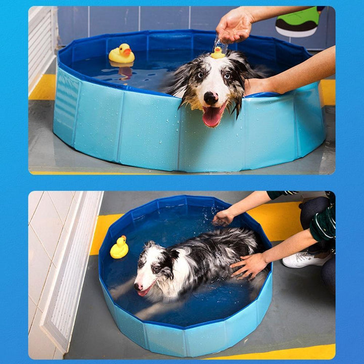 Bærbar Paw Pool | Norvo