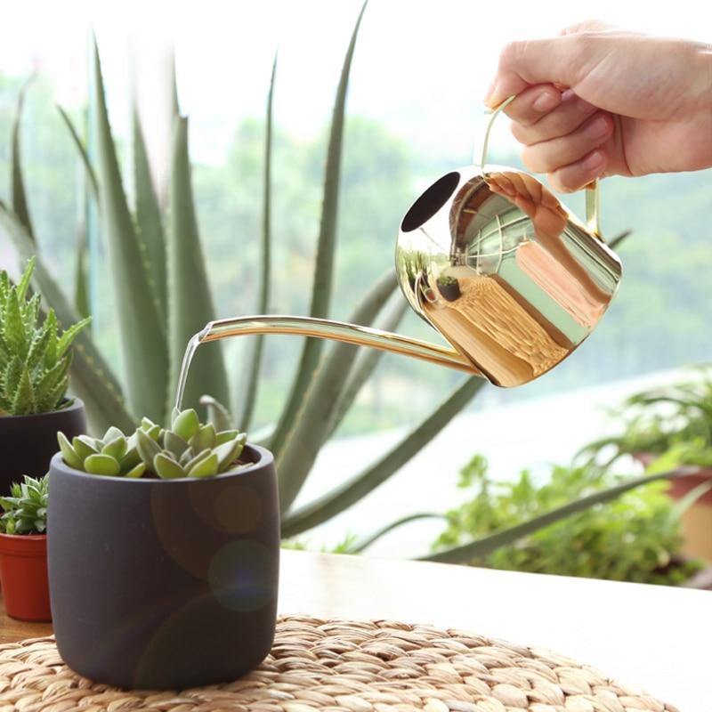 Norvo | AquaGrace Rustfritt Stål Vannkanne med Fleksibel Hals | Moderne Design | Perfekt Vanning | Ruster ikke