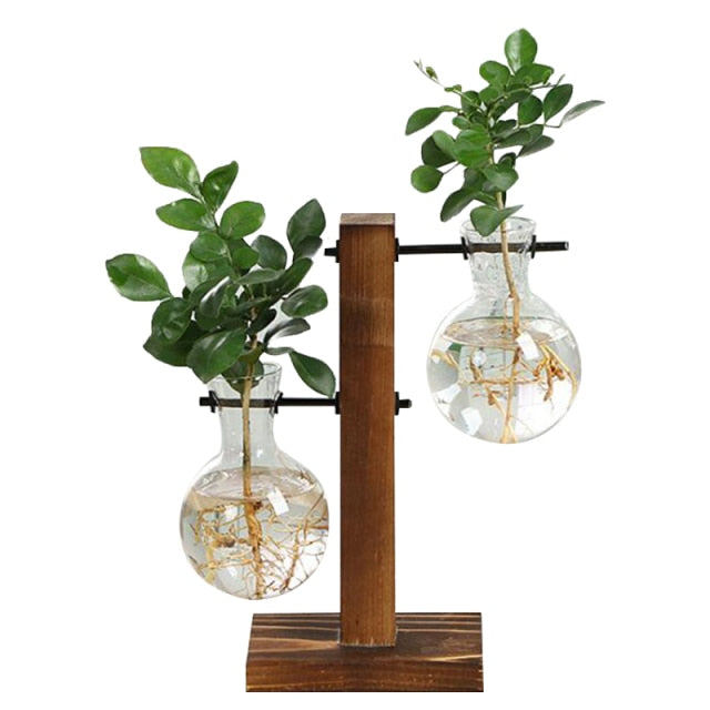 Norvo | Terrarium Hydroponisk Vintage Bordvase