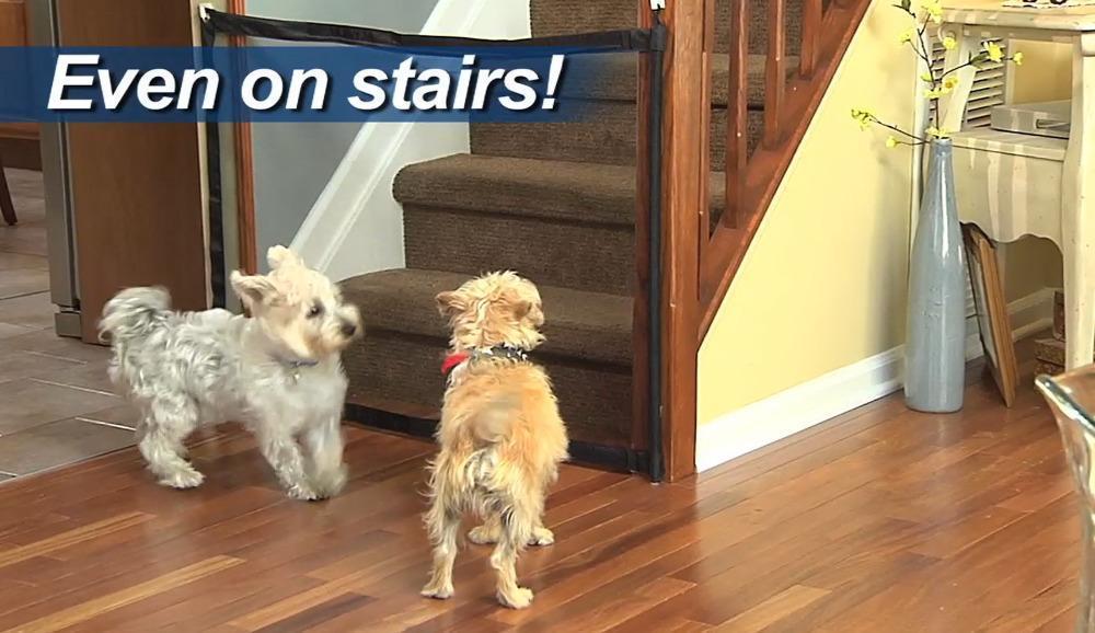 Norvo | Bærbar Magic mesh Hund pet Port Baby Port