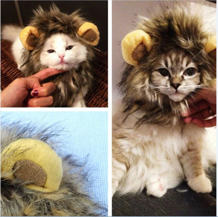 Royal Cat Mane – FelineKing Norvo