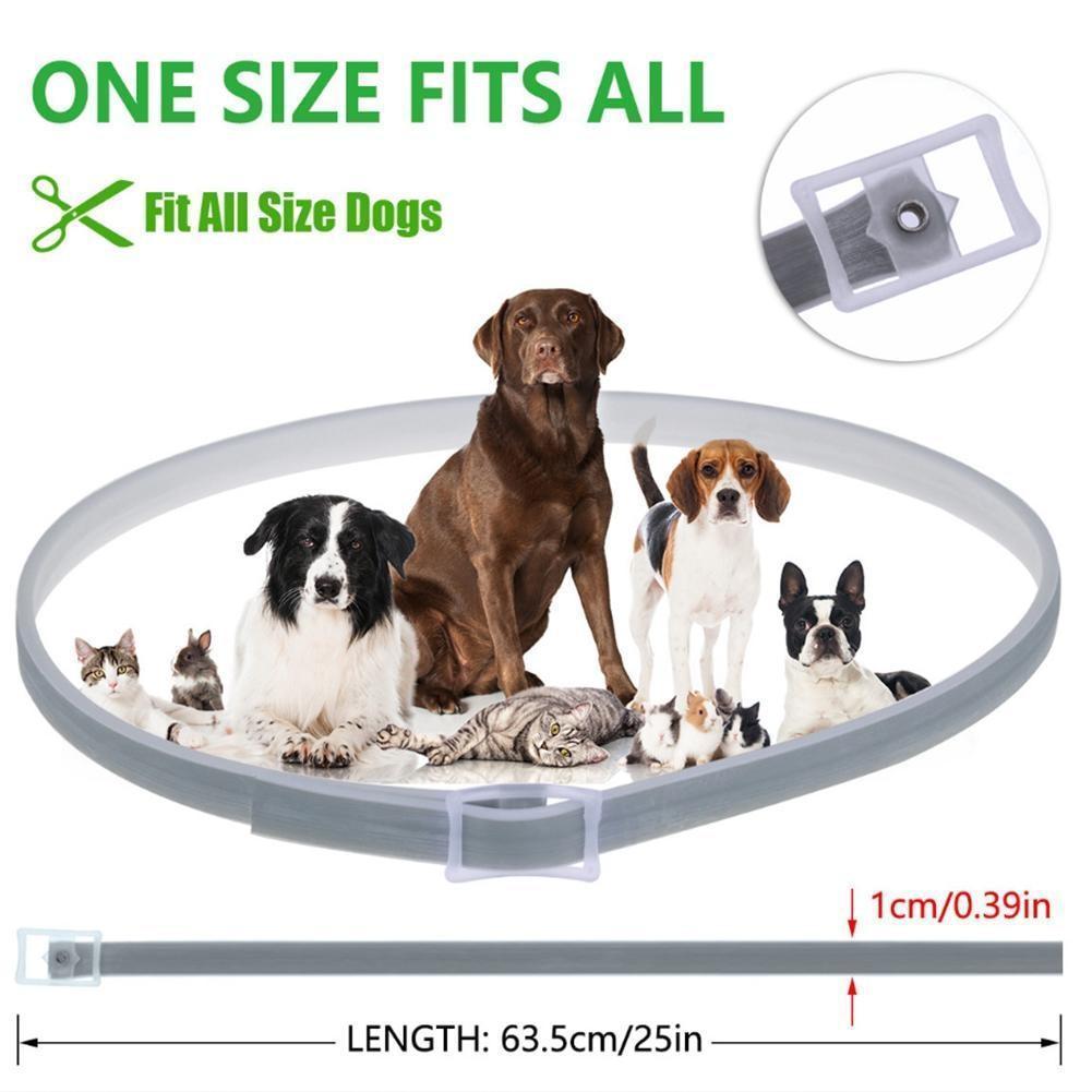 Norvo | Flått- og Loppemordende Hundehalsbånd