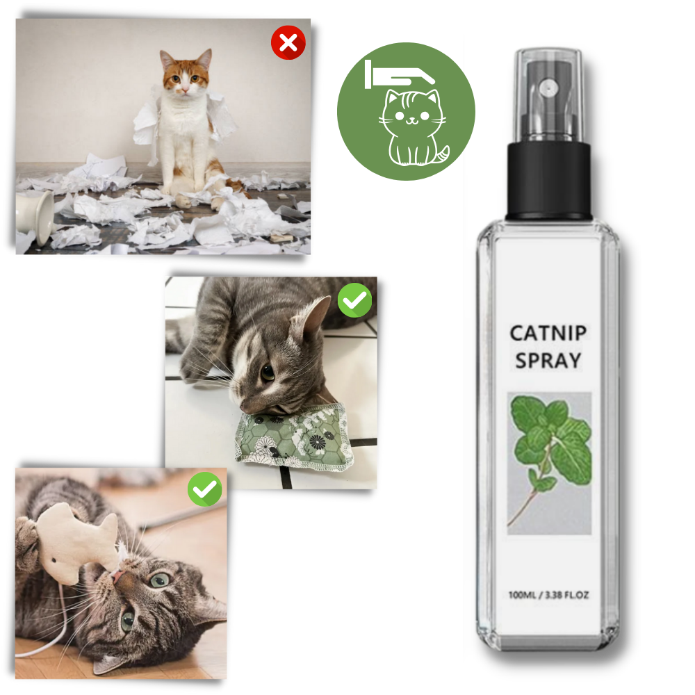 Spray med naturlig kattemynte
