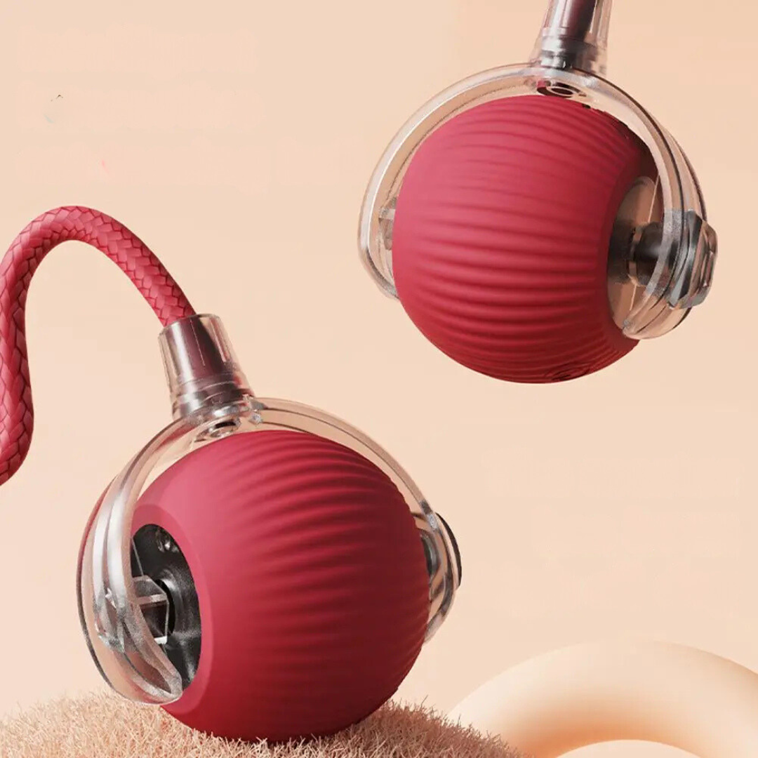 Norvo | Interaktiv rullende ballleketøy med hale for katter