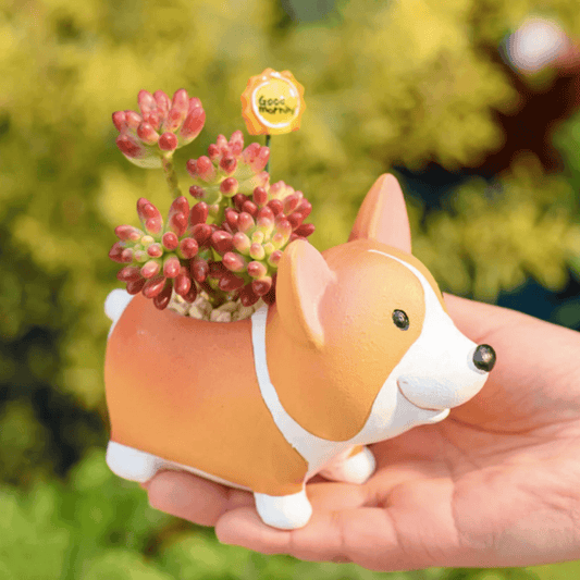 Norvo | Harpiks Corgi Mini Blomsterkrukke