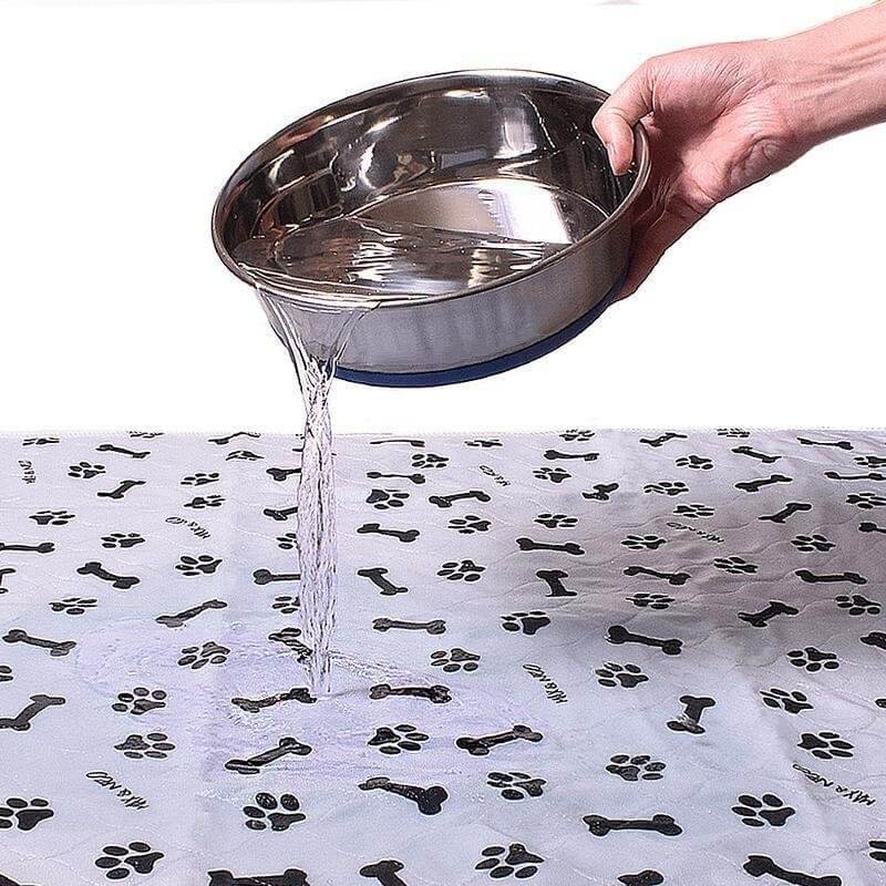 Gjenbrukbar Plasma for hunder - EcoPad Norvo