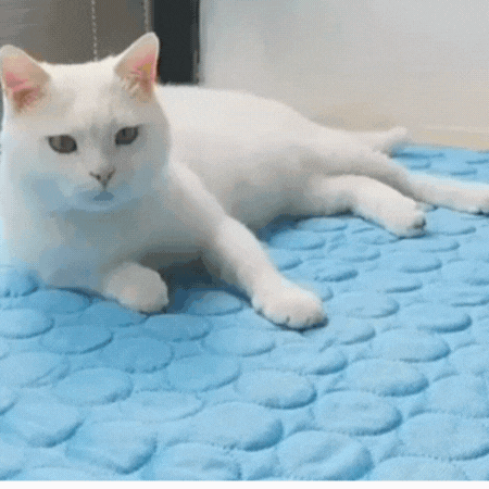 Norvo | Ekstra-Large Hundekjølematte for Sommerkomfort