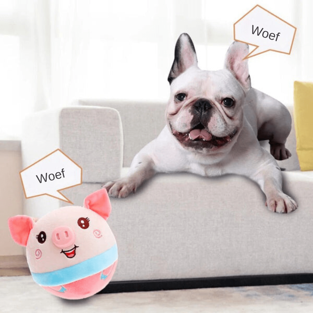 Norvo | ROVER – Interaktivt Bevegelig Hundeleketøy for Smart & Energisk Lek