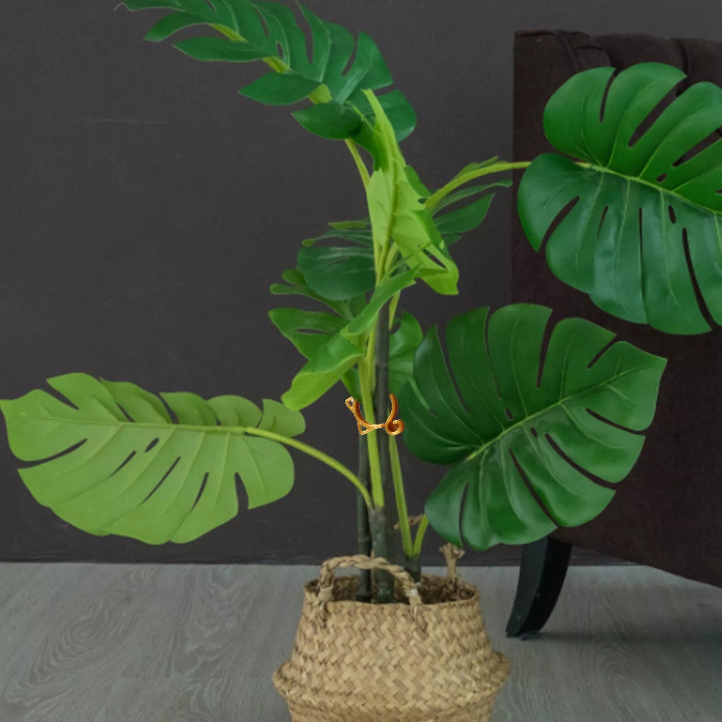 Norvo | Katt-formet Planteklype – Søt Plante Støtte for Hage og Stueplanter