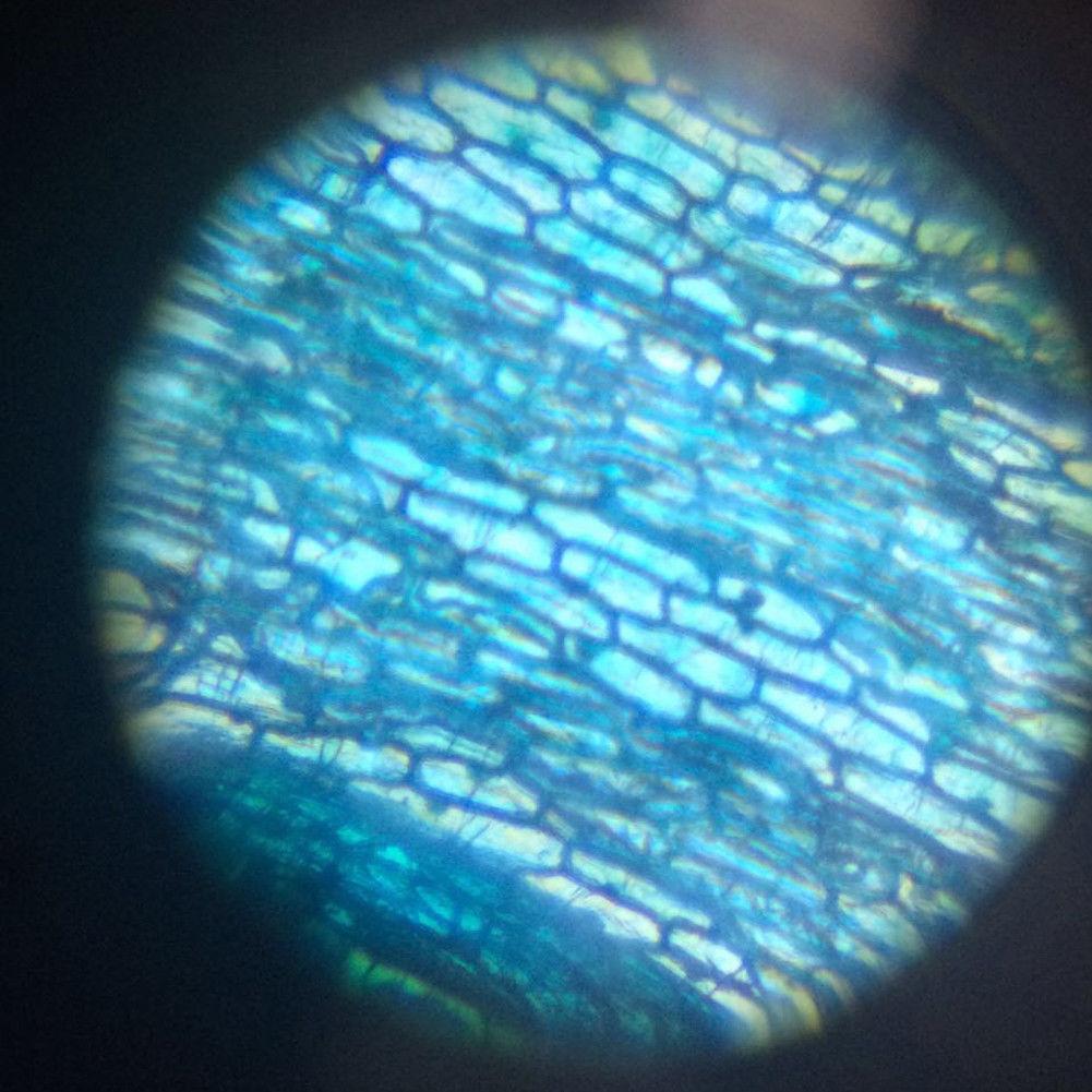 Norvo | Barn Vitenskaps Mikroskop - Barn Mikroskop Sett