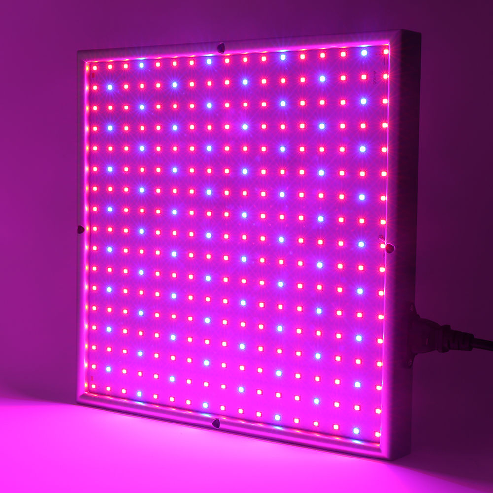 Norvo | Grow Light Lampe