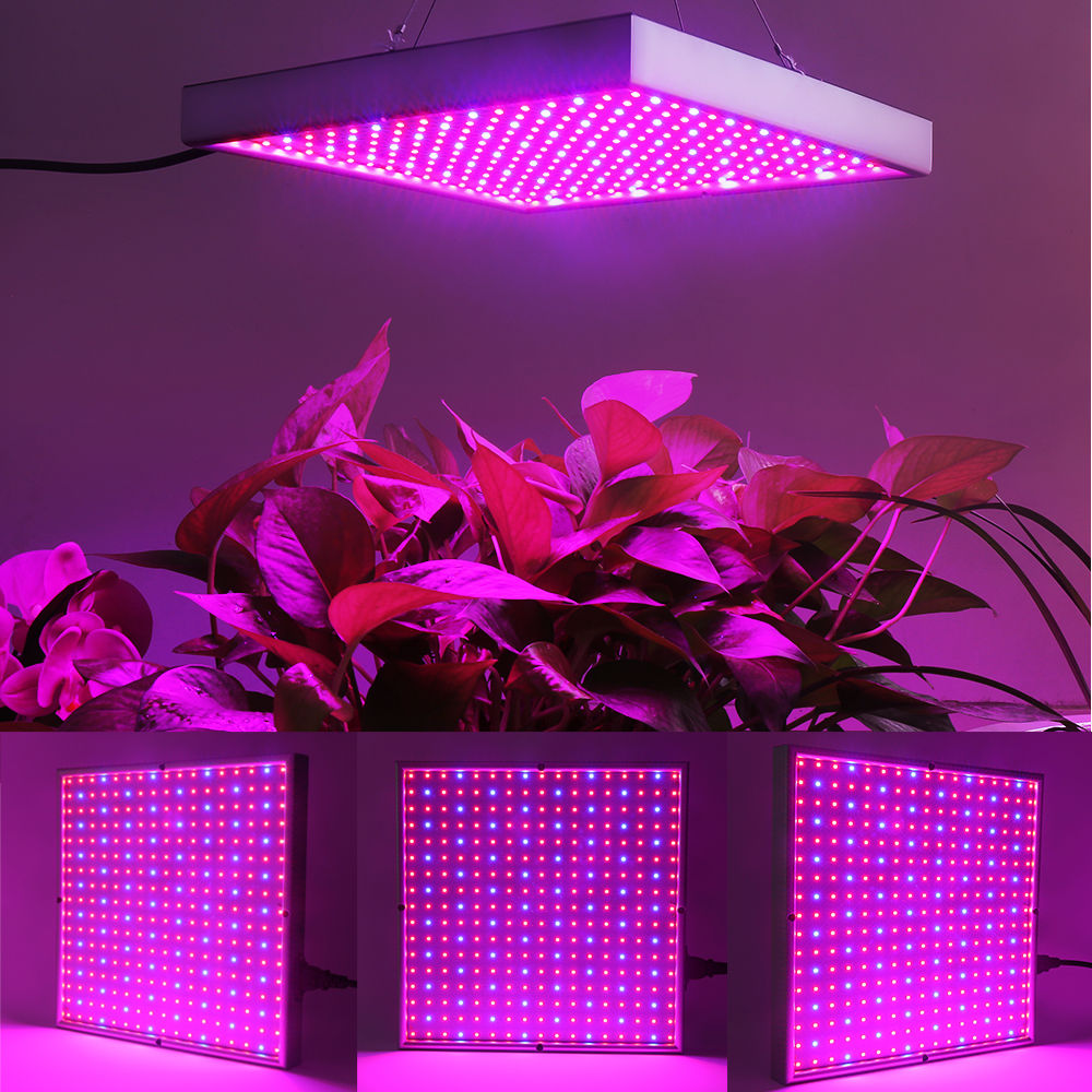 Norvo | Grow Light Lampe