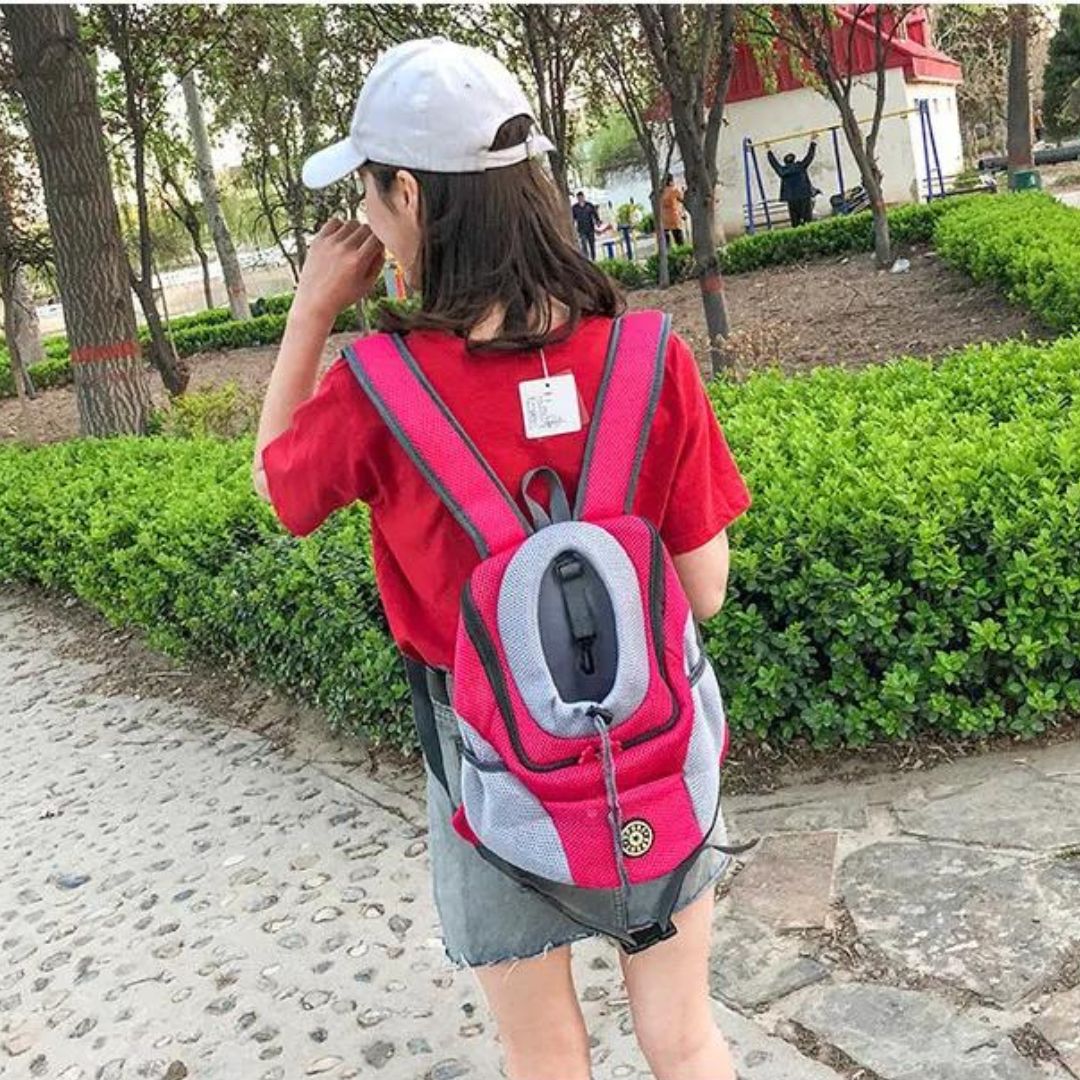 Norvo | PawCarry – Sammen overalt på farten