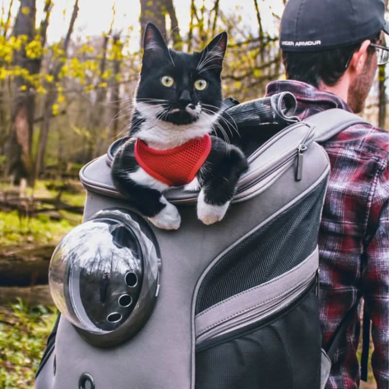Norvo | CATTREKKER – Sammenleggbar katte reiseveske med panoramavindu for stressfri reise