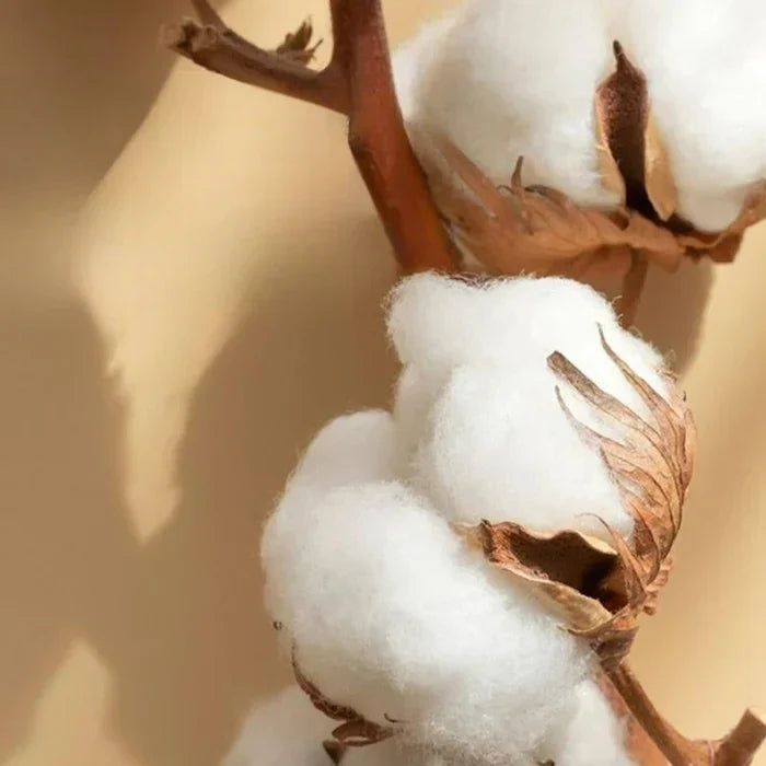 Norvo | Sateng Kattun Brodert Sengetøy Sett - Luxora