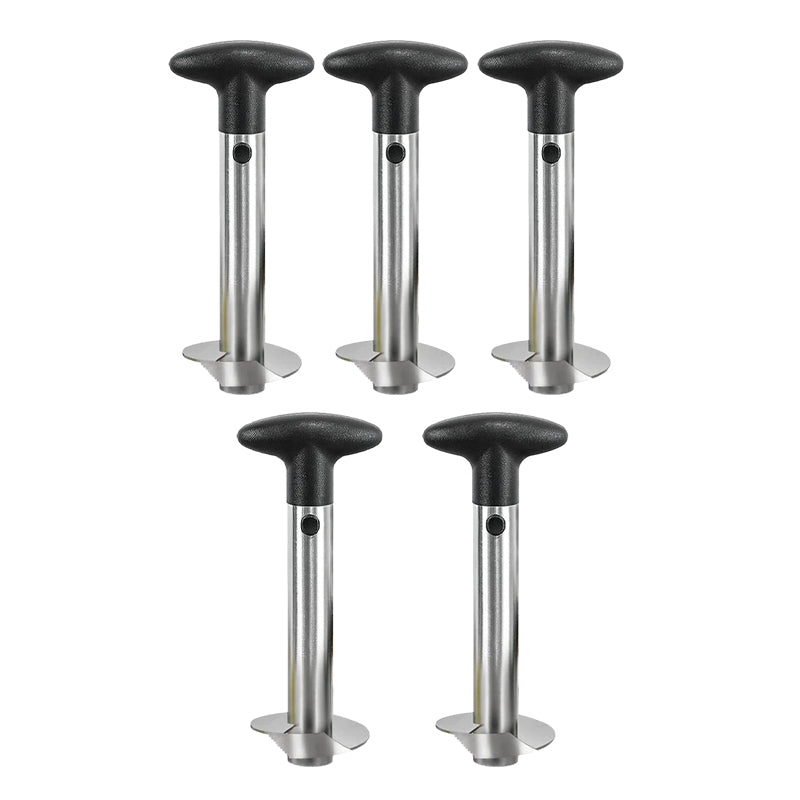 Norvo | Ananas utstikker & skiver