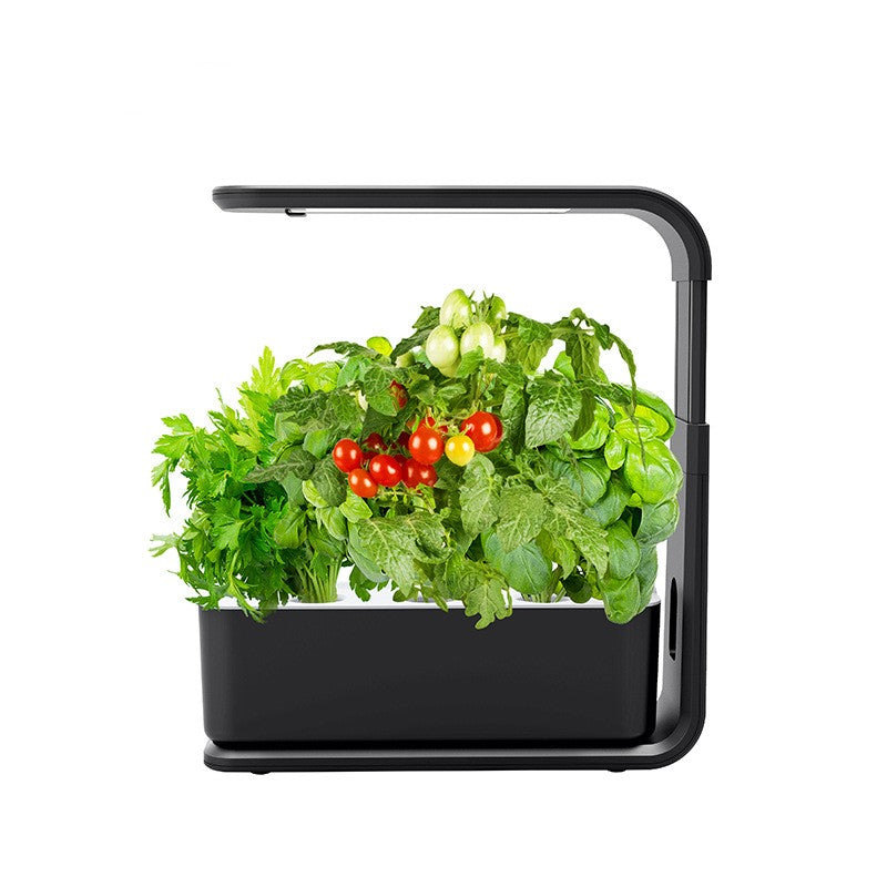 Norvo | Slim Hydroponic Plant System for Indoors - GreenBloom Hydro