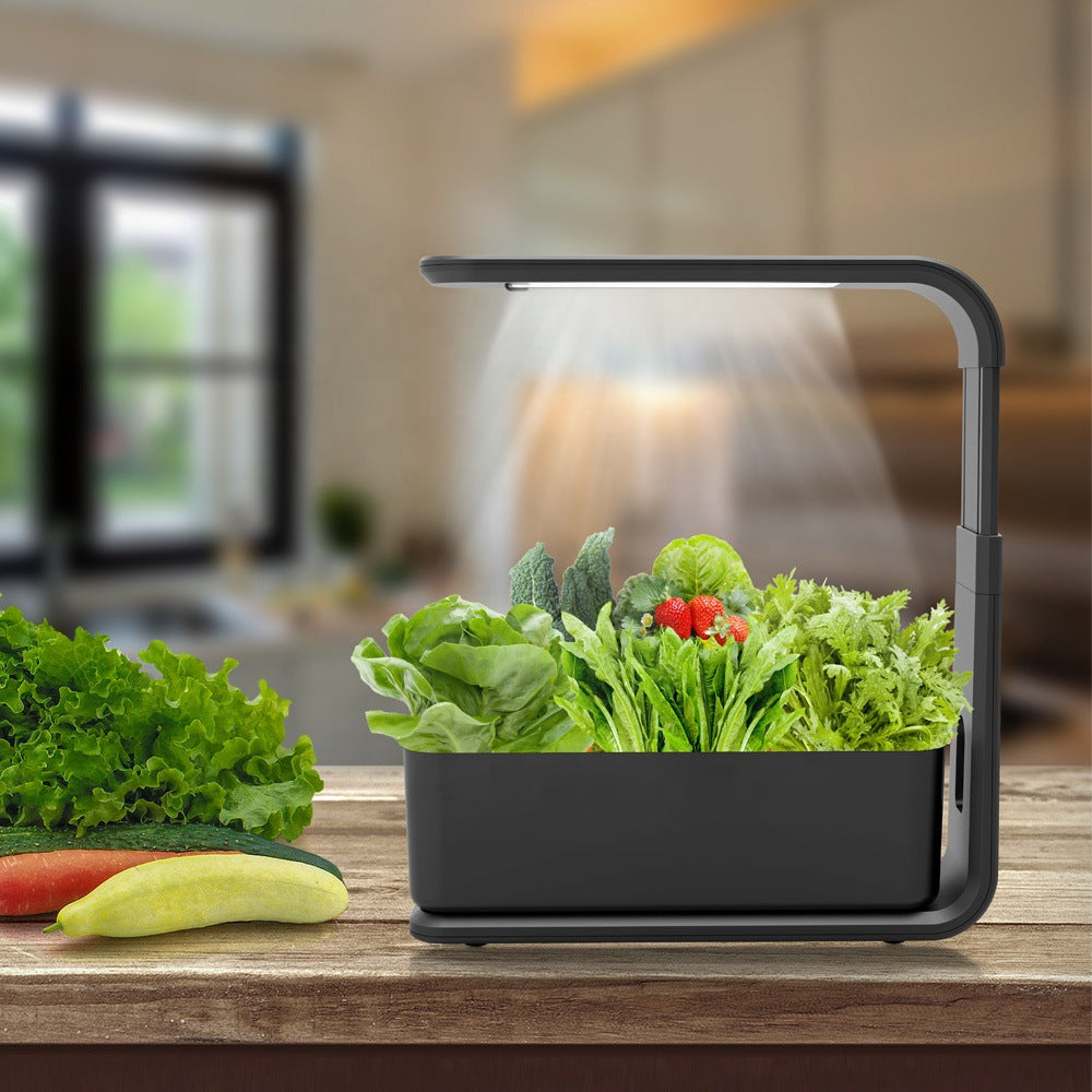 Norvo | Slim Hydroponic Plant System for Indoors - GreenBloom Hydro