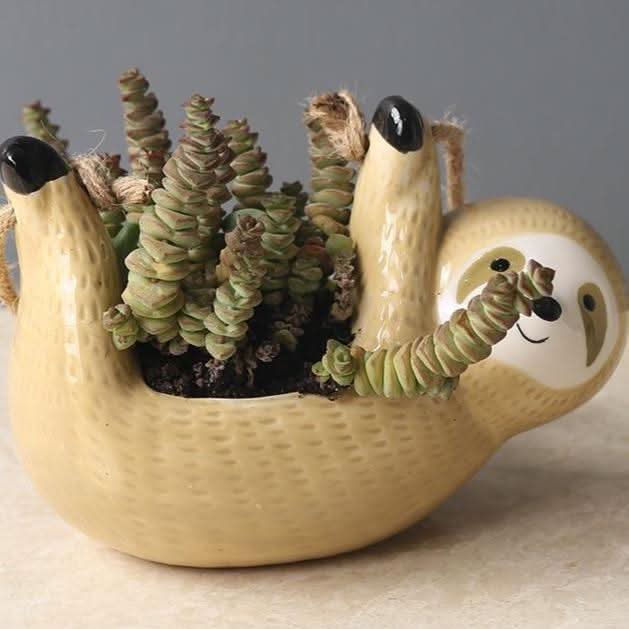 Norvo | LUMA – Stilig Hengende Sloth Vase for Dine Rom