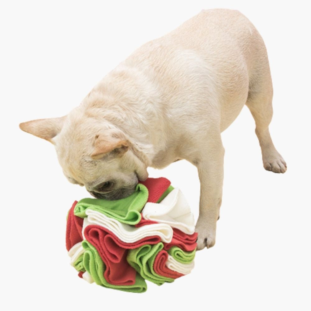 Snuffle Ball for Dogs - PawMaze Norvo