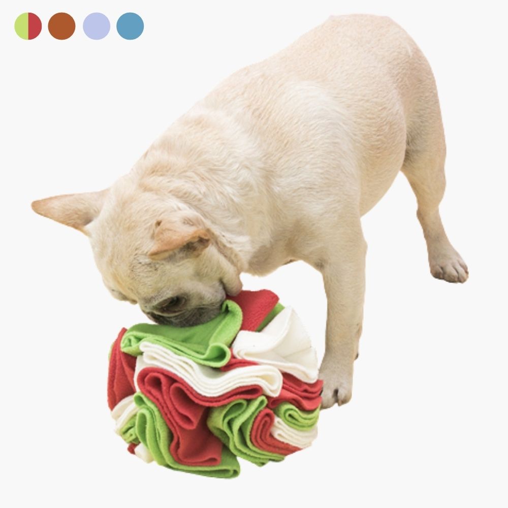 Snuffle Ball for Dogs - PawMaze Norvo