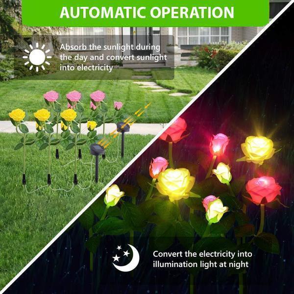 Norvo | Solcelle LED Roser