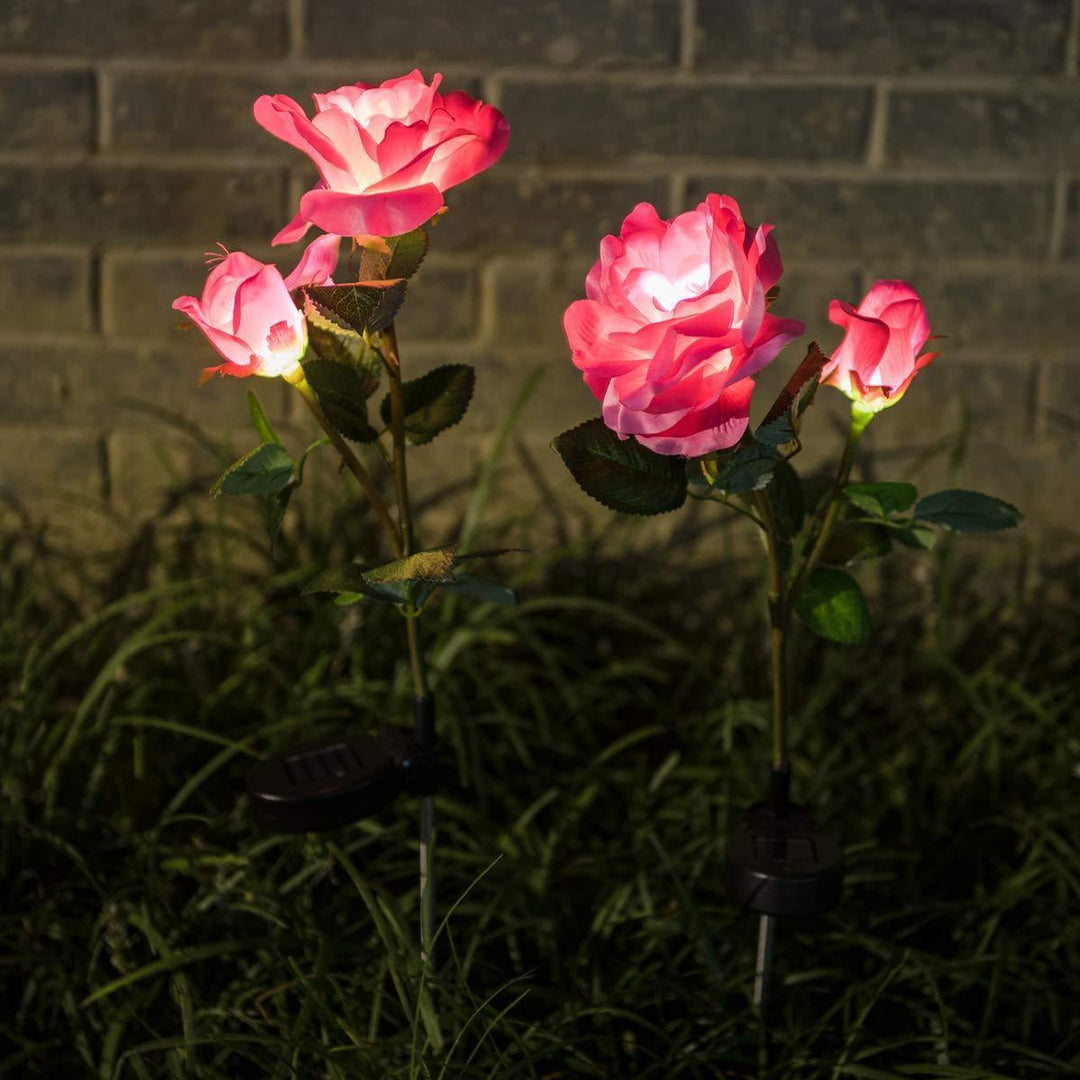 Norvo | Solcelle LED Roser