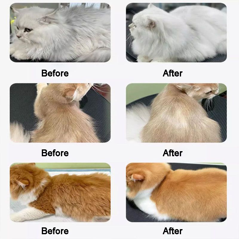 Norvo | Pet Glansfull og Glatt Hårpleie Balsam