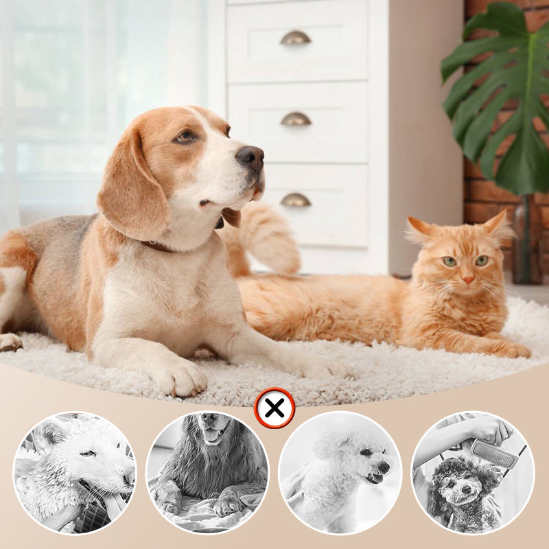 Norvo | Lavt støynivå dyrehårføner med slickerbørste