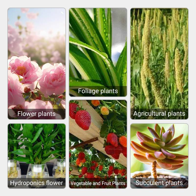 Norvo | Raskt virkende næringsløsning for planter