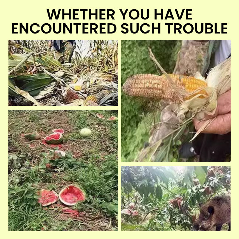 Norvo | Solcelledrevet dyreavvisende varsellys med høy alarm