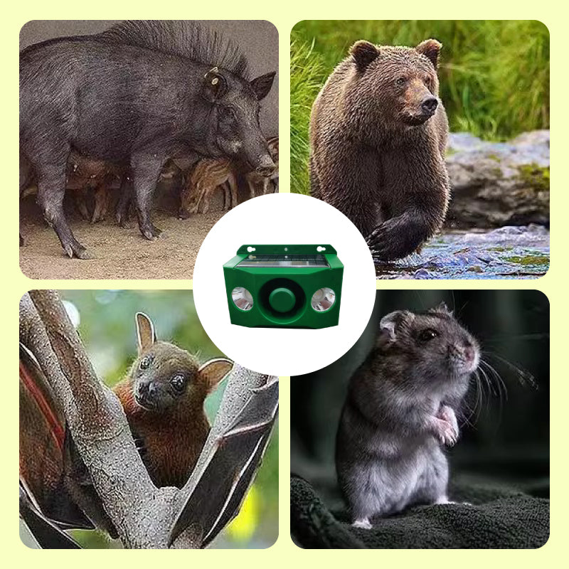 Norvo | Solcelledrevet dyreavvisende varsellys med høy alarm