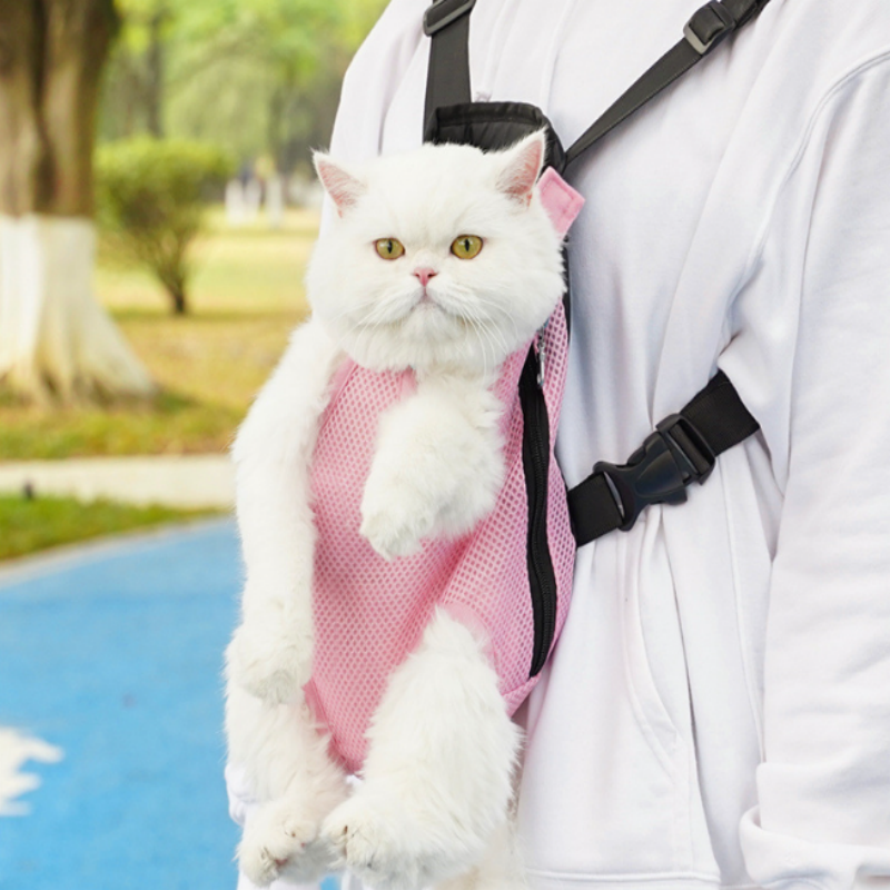 Norvo | FellFreund TravelBuddy – Den komfortable ryggsekken for på farten