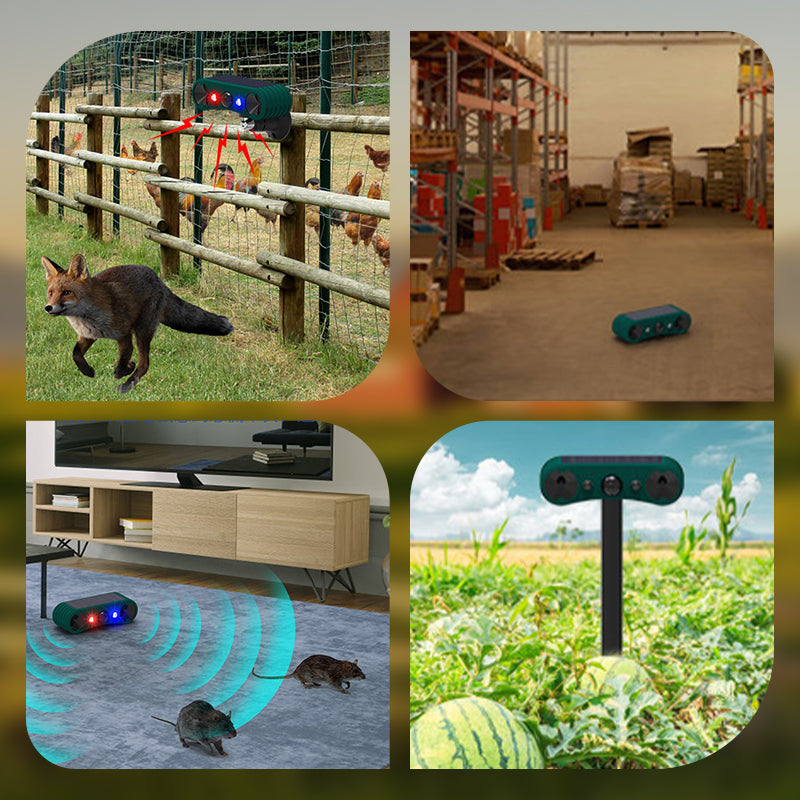 Norvo | Solbevegelsesensor utendørs alarmer for avskrekking