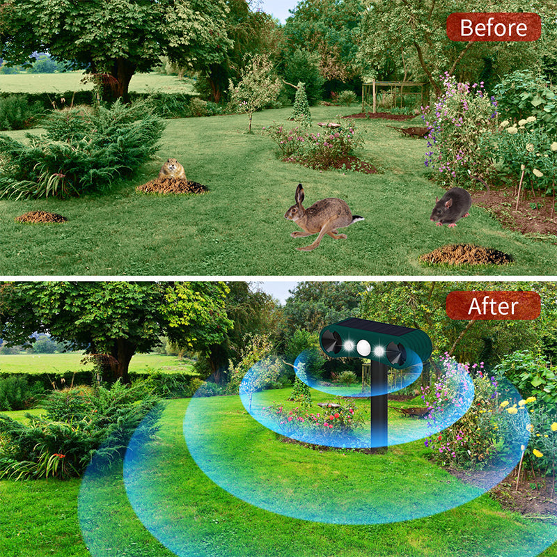 Norvo | Solbevegelsesensor utendørs alarmer for avskrekking