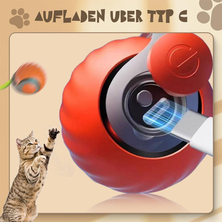 Norvo | Kattball med automatisk intelligent sensor