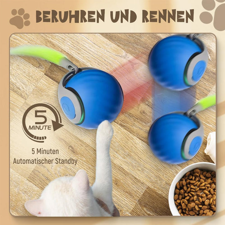 Norvo | Kattball med automatisk intelligent sensor