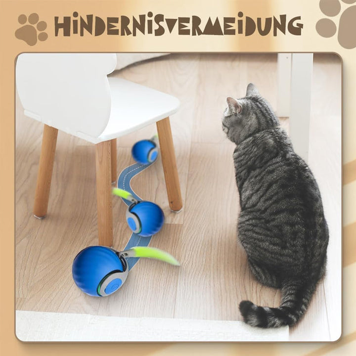 Norvo | Kattball med automatisk intelligent sensor