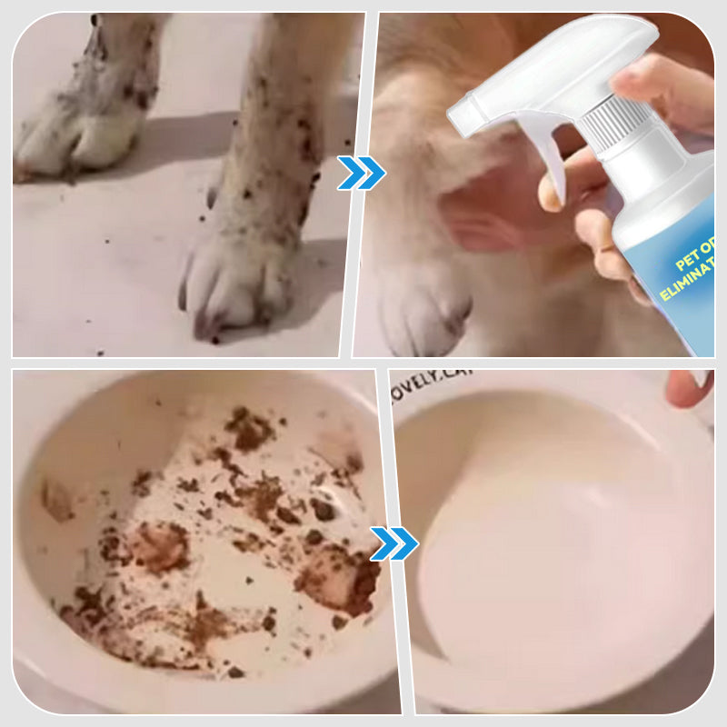 Norvo | 🐱🐶Spray for fjerning av kjæledyrlukt🍃