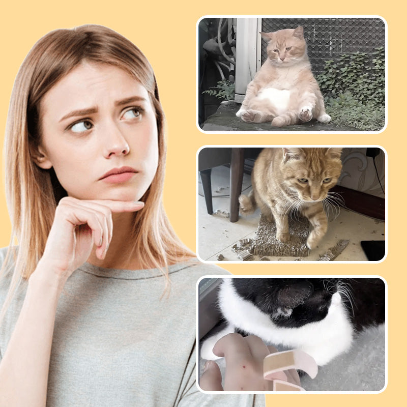 Norvo | Muselek leker for katter og hunder