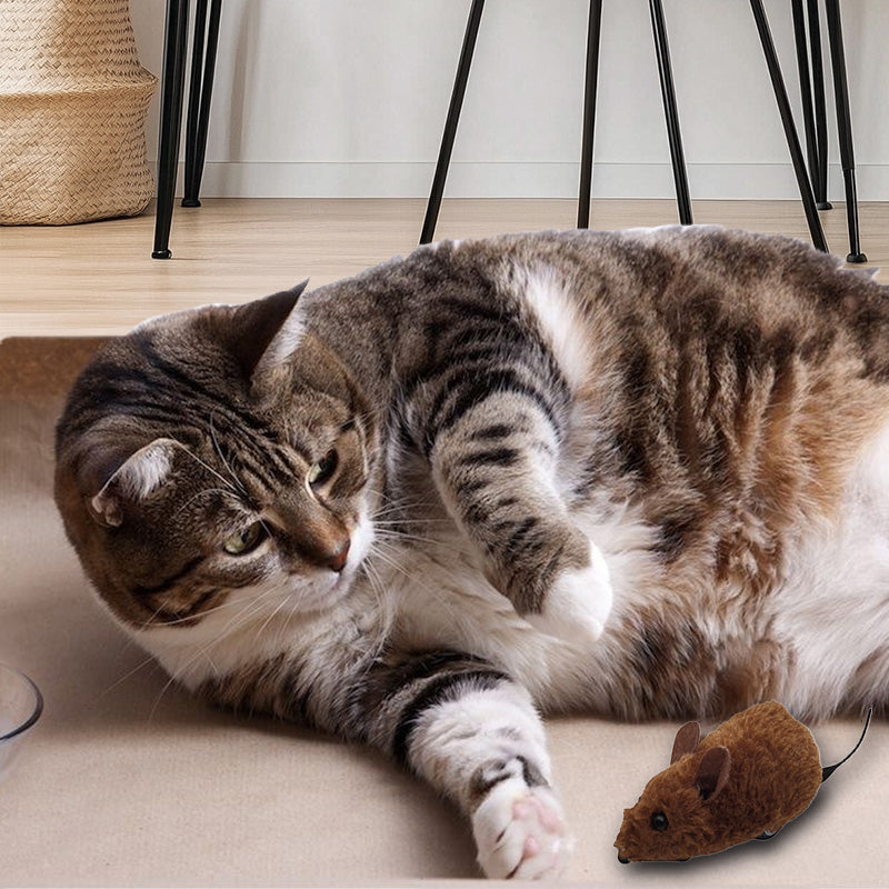 Norvo | Muselek leker for katter og hunder