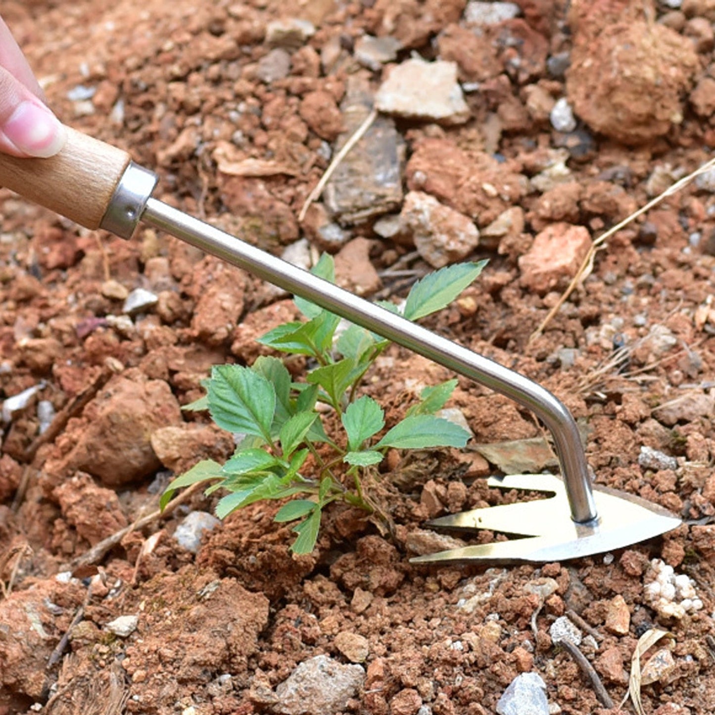 Norvo | Rustfritt Stål Gressklipper