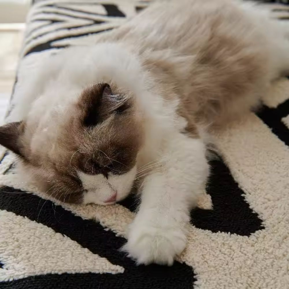 Norvo | Moderne Geometrisk Sofatrekk Bomullsblanding