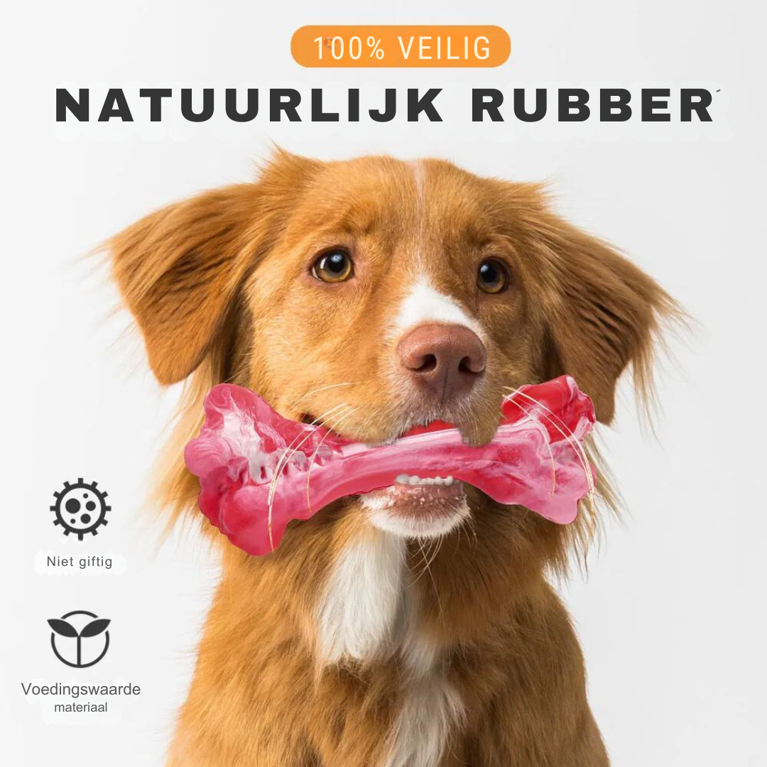 Den lekne tannpleien for hunder - BuddyChew Norvo