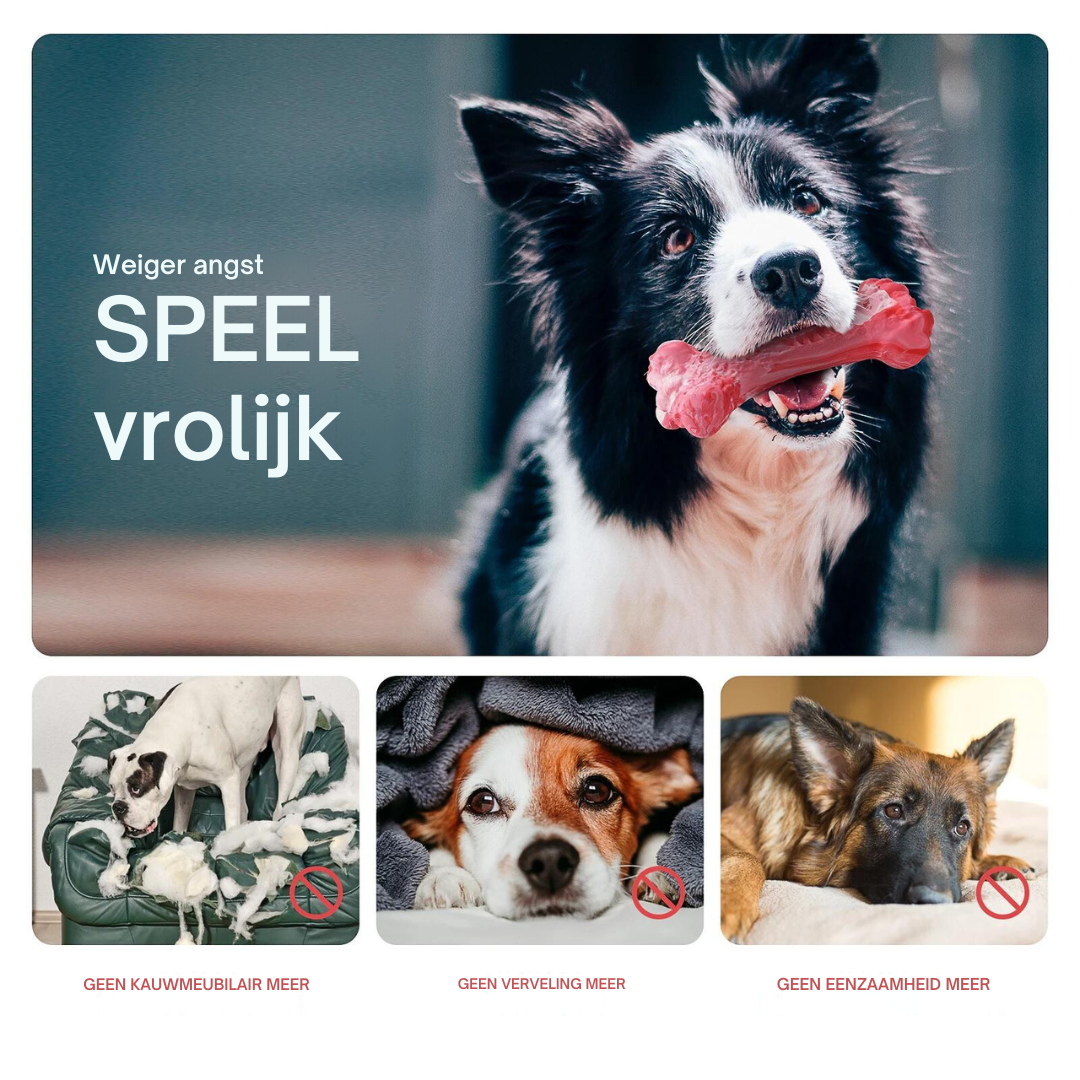 Den lekne tannpleien for hunder - BuddyChew Norvo