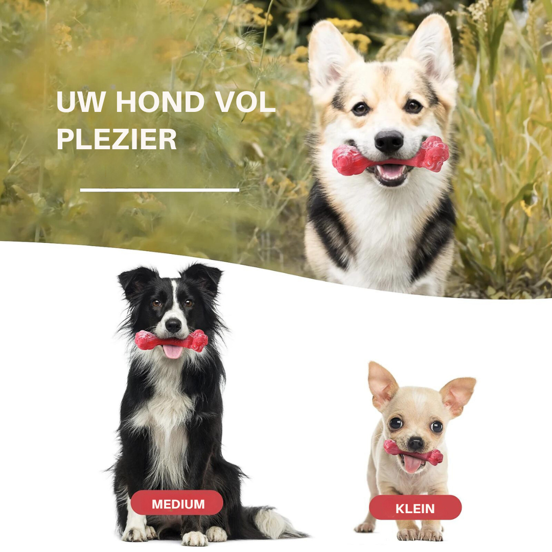 Den lekne tannpleien for hunder - BuddyChew Norvo
