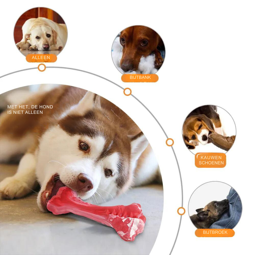 Den lekne tannpleien for hunder - BuddyChew Norvo