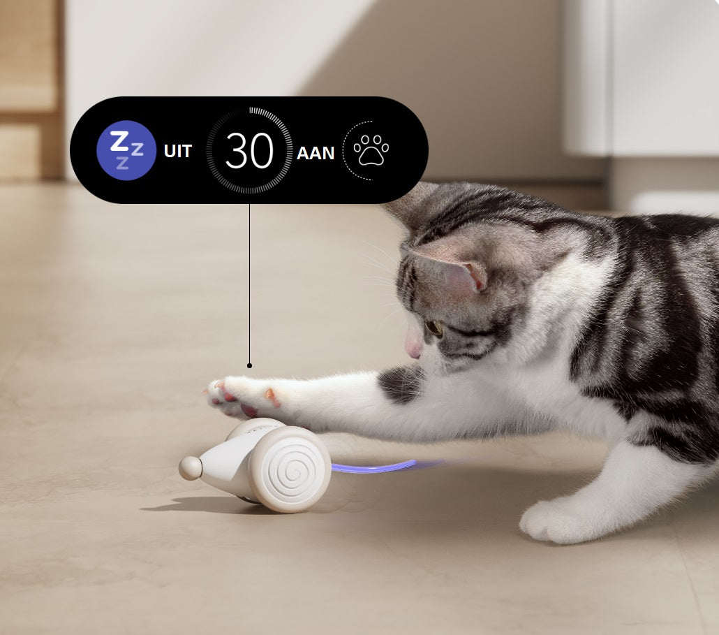 Den ultimate tyggeresistente kattelekegenstand - WhiskerPlay Norvo