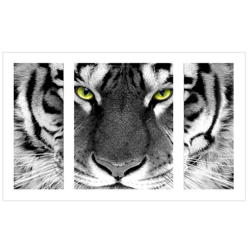 Black and White Tiger - GemPaint Kit | Norvo