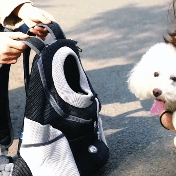 Norvo | PawCarry – Sammen overalt på farten